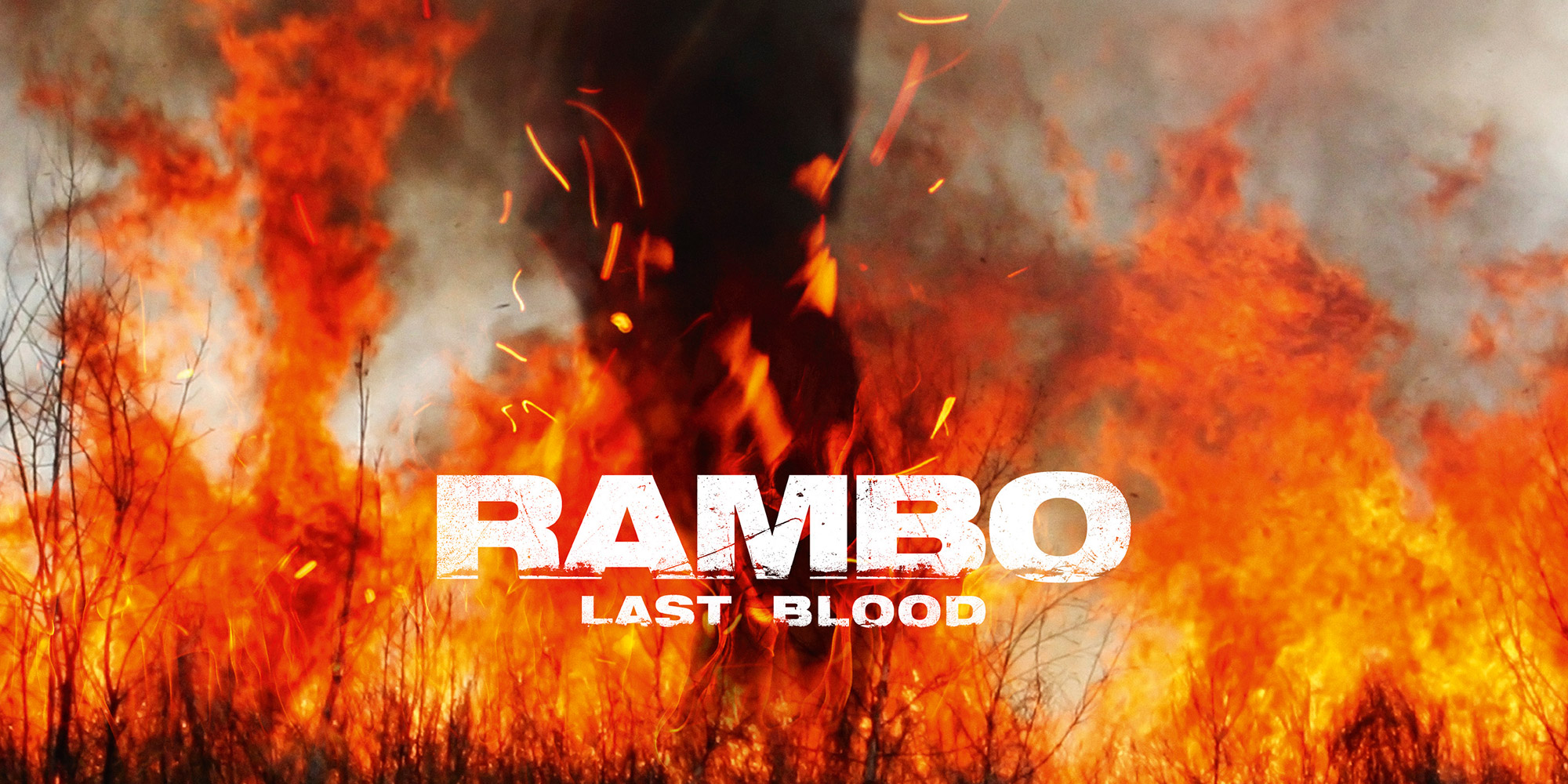  Rambo est de retour et il n’est pas content…