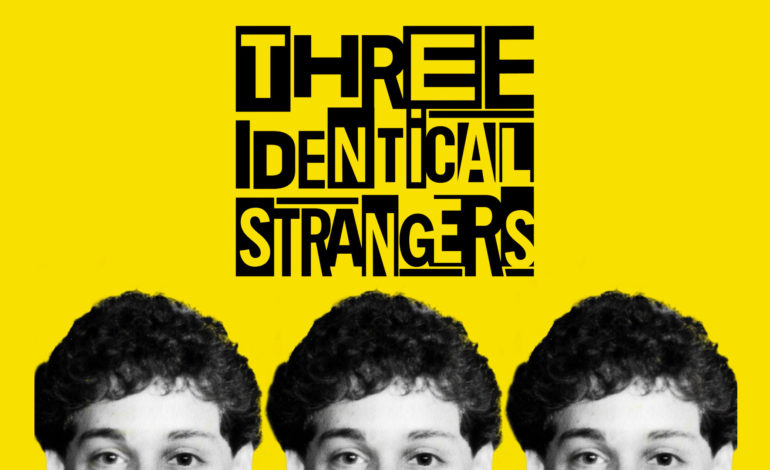  CRITIQUE : Three Identical Strangers